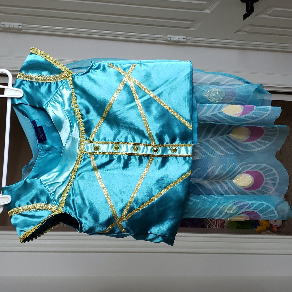 Disney Aladdin Princess Jasmine costume size M (7-8)